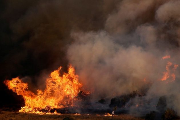 In New Zealand, declared a state of emergency due to forest fires ...