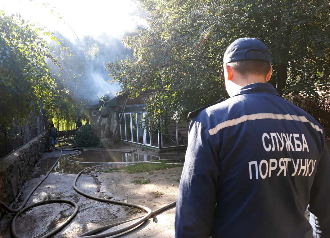 Евпатория зоопарк пожар. Пожар в зоопарке. Пожар в Черкассах. Пожар в Крыму в зоопарке. Пожар в зоопарке сегодня.