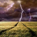 Без названия (1)