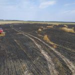 пожар поле грузовик 3