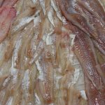 Fishfilets