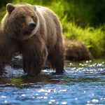 elitefon.ru_39167
