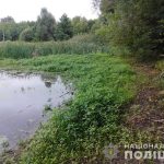 болото