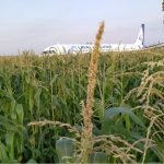 жесткая посадка самолета в кукурузном поле