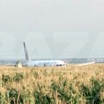жесткая посадка самолета в кукурузном поле 2