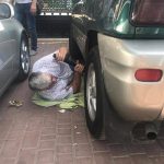 змея залезла в машину 2