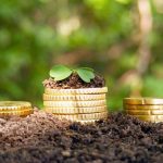 Money growth. Golden coins in soil with young plant.