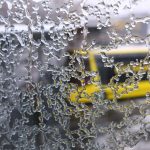 IMG_20191122_140219_961