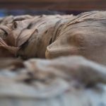IMG_20191124_101027_031