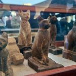 IMG_20191124_101034_458