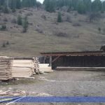 лес1