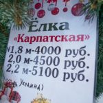 продажа елок