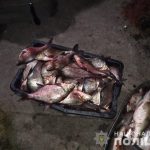риба