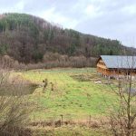articles_138_20200103095523