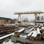 пилорама лес