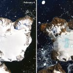 eagleisland_oli_2020044