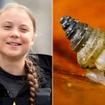 greta-snail-thunberg-02