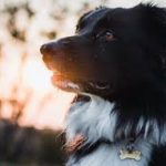 Без названия (2)