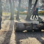скульптура