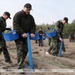 лукашенко садит деревья