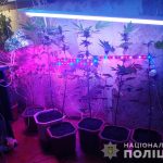 наркопритон