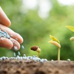 agriculture