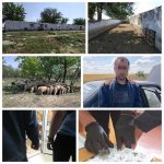 Izmail_16.06.2020