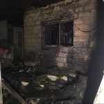 сгорел приют для животніх
