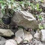 Без названия (1)