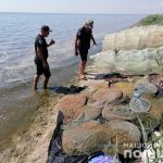 вылов креветки