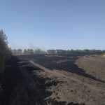 горело поле