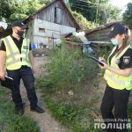конопля во дворе