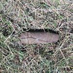IMG-82be3e563585466db8ca6b4c8b2d9b8e-V