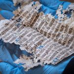 oxburgh_archaeology_9_curator_anna_forest_examines_a_15th_century_illuminated_manuscript_cnational_trust_mike_hodgson-1024×683-1