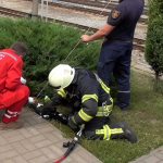 рука арматура