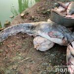 вылов рыбы 1