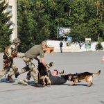 тел3