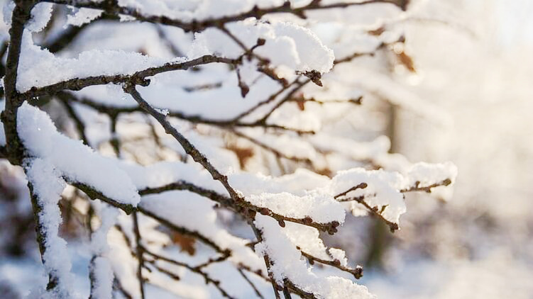 Meteorological winter begins in Kyiv | Journalist.today